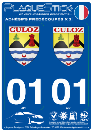 01 -Culoz 