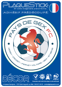 01 -Gex "FC" Decor