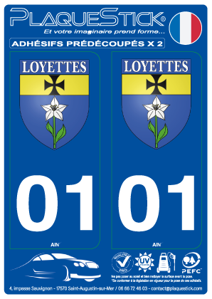 01 -Loyettes 