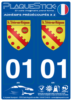 01 -Saint-Trivier-sur-Moignans 