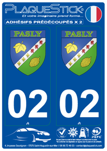 02 -Pasly "ßlason" PlaqueStick