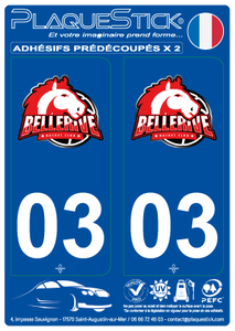 03 -Bellerive-sur-Allier "Basket" PlaqueStick