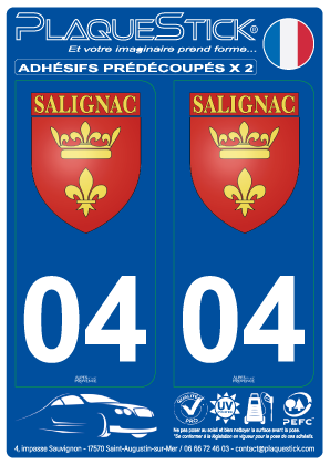 04 -Salignac 