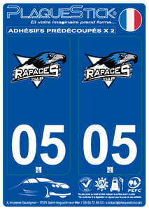 05 -Gap "Rapaces" PlaqueStick