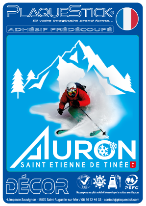 06 -Auron 
