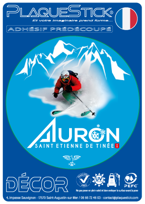 06 -Auron 
