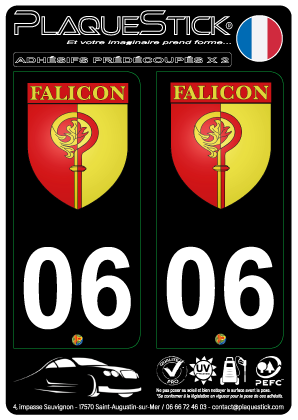 06 -Falicon 