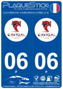 06 -Nice "Cavigal" Basket PlaqueStick