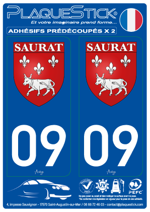 09 -Saurat 