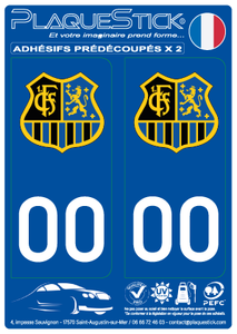 100 -Allemagne  "Deutschland" Saarbrücken FC