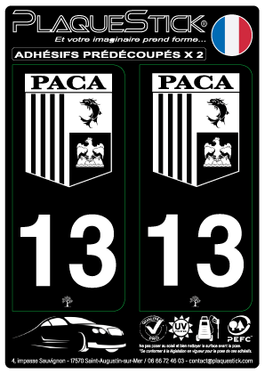 13 -Sud Alpes Côte-d'Azur 