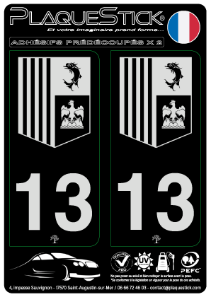 13 -Sud Alpes Côte-d'Azur 