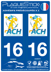 16 -Angoulême-Charente "Handball" PlaqueStick