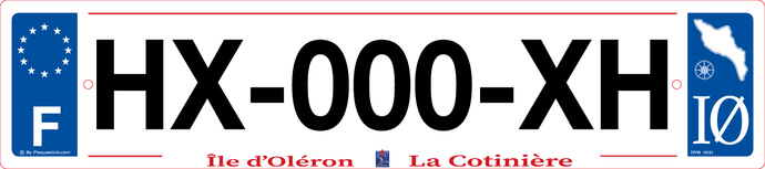 17 -Plaque immatriculation 