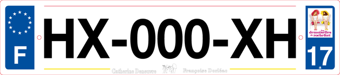 17 -Plaque immatriculation Rochefort 