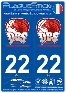 22 -Dinan "Basket Samsonnais" PlaqueStick