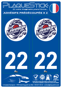 22 -Lannion-Trégor "Basket" PlaqueStick
