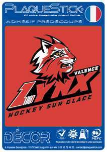 26 -Valence "Lynx" Decor