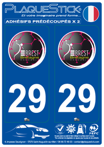 29 -Brest "Bretagne Handball" PlaqueStick