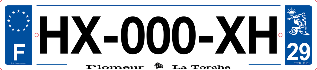 29 -Plaque immatriculation 