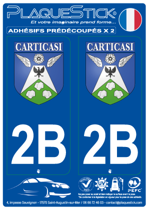 2B -Carticasi 
