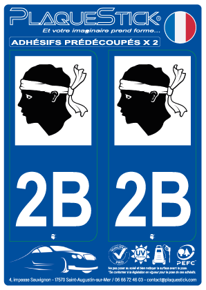 2B -Corse PlaqueStick