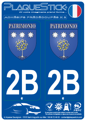 2B -Patrimonio 