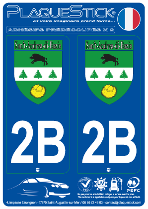 2B -San't-Andrea-di-Bozio 