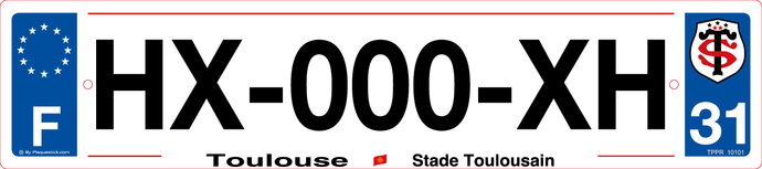 31 -Plaque immatriculation 