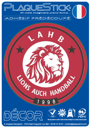 32 -Auch “Lions Handball” Decor