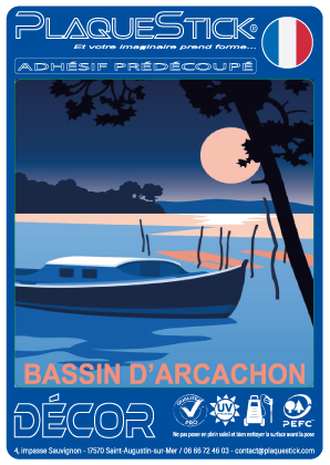 33 -Bassin d'Arcachon sous la Lune 