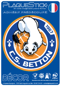 35 -Betton "CS Basket" Decor