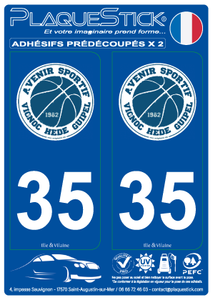 35 -Redon "Basket" PlaqueStick