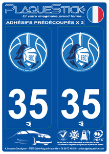 35 -Saint-Coulomb "Émeraude Basket" PlaqueStick
