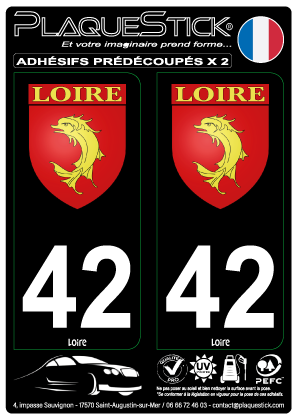 42 -Loire 