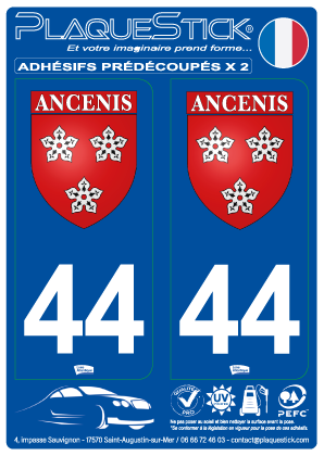 44 -Ancenis 