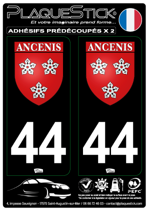 44 -Ancenis 