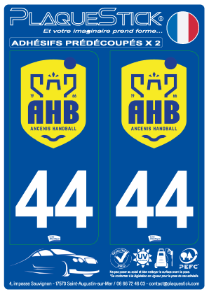 44 -Ancenis 