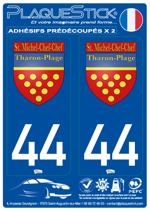44 -Saint-Michel-Chef-Chef - Tharon-Plage