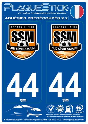 44 -Sud-Sèvre-et-Maine 