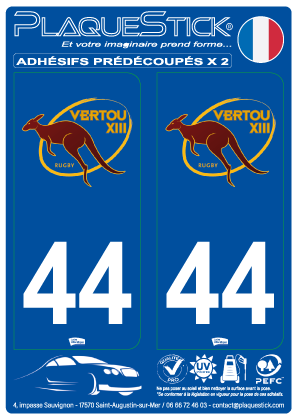 44 -Vertou 