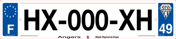 49 -Plaque immatriculation Angers 