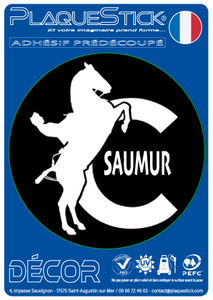 49 - Saumur "Cadre Noir" White, Decor