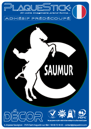 49 - Saumur 