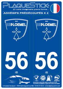 56 -Ploemel "ES" PlaqueStick