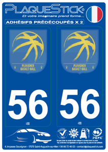 56 -Pluvigner "Basket ball" PlaqueStick