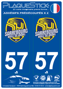 57 -Sarrebourg "Handball" PlaqueStick