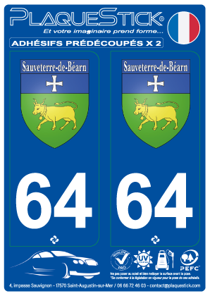 64 -Sauveterre-de-Béarn 