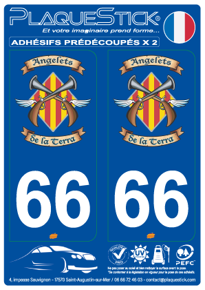 66 -Angelets de la Terra PlaqueStick