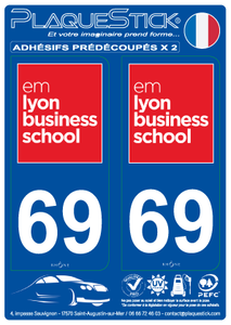 69 -Lyon "em lyon business school" PlaqueStick